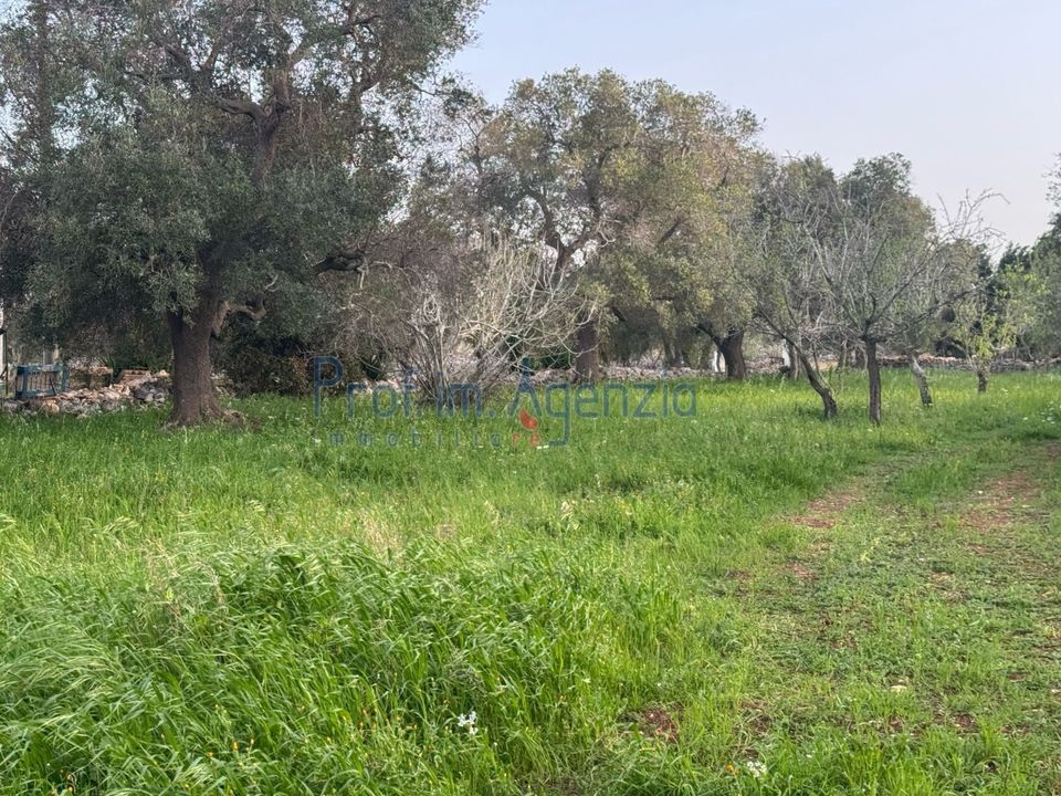 Landejendom i Carovigno, Brindisi - foto 5